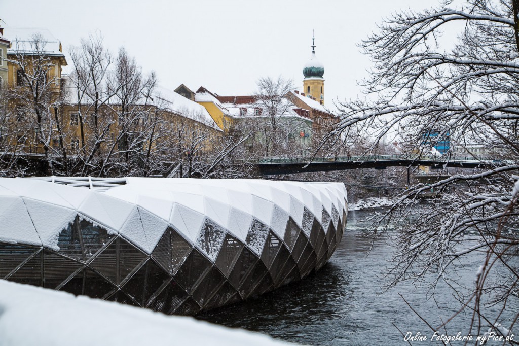 Murinsel im Winter