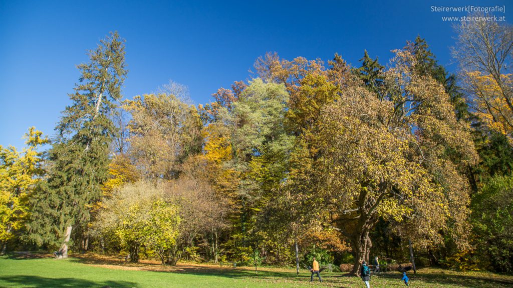 Wandern im herbstlichen Waöd