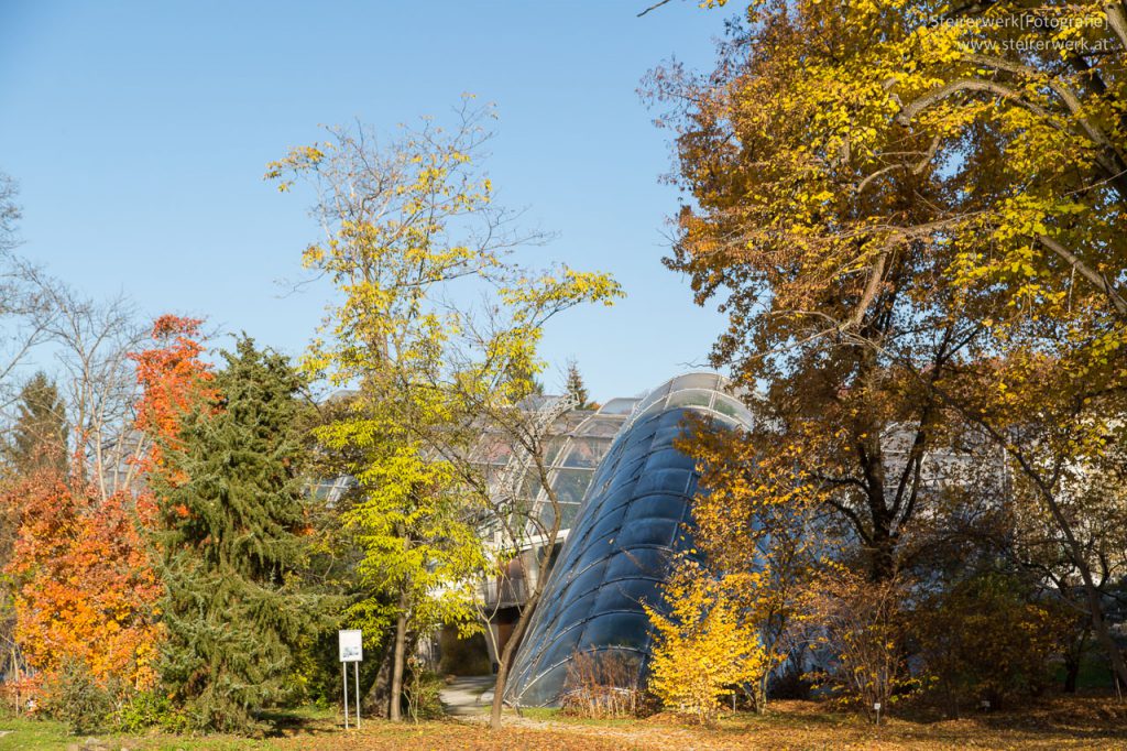 Botanische Garten Park