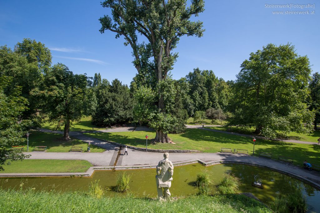 Stadtpark im Sommer