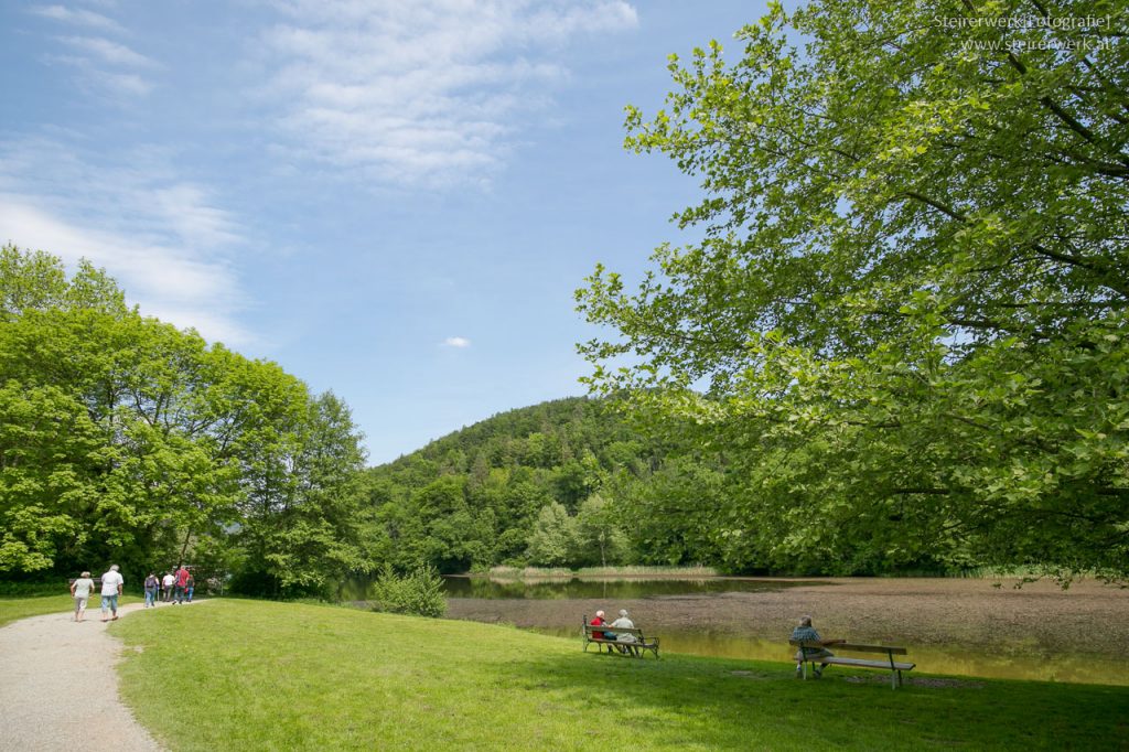 Spazieren im Sommer am Thalersee