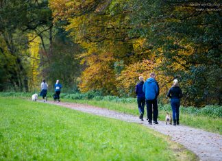Unterwegs mit Hund