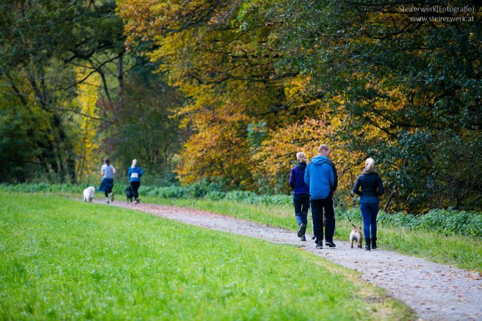 Unterwegs mit Hund