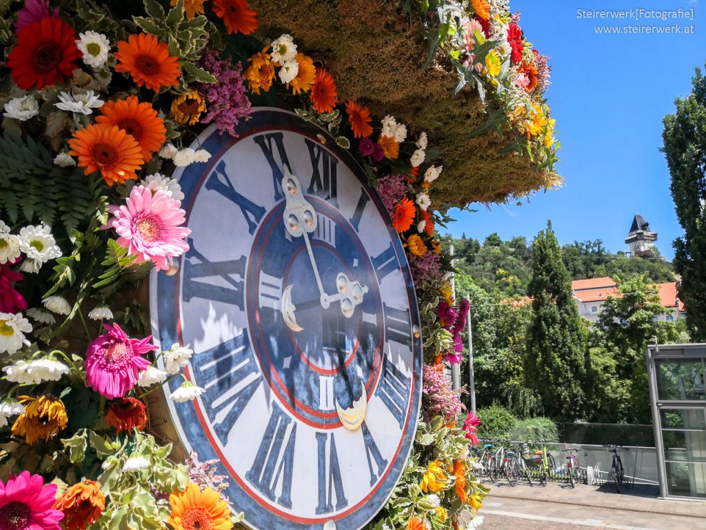 Blumen Uhrturm Graz