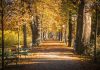 Herbst in Graz