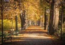 Herbst in Graz