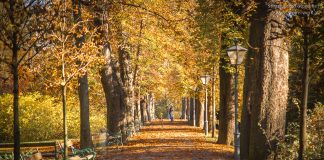 Herbst in Graz