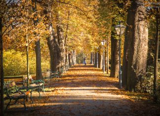 Herbst in Graz