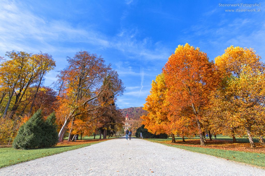 Herbstspaziergang im Park