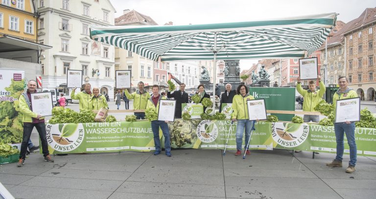 Grazer Krauthäuptel: Salatgenuss aus der Region